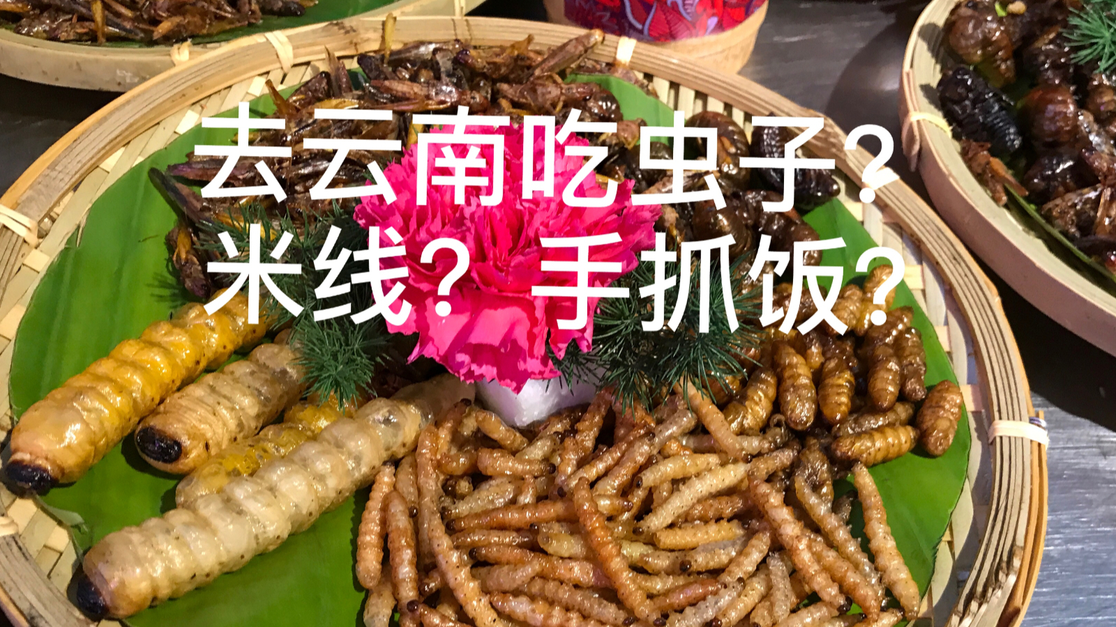 【阿咩】vlog08 出差去云南的日子 吃虫子?米线?手抓饭